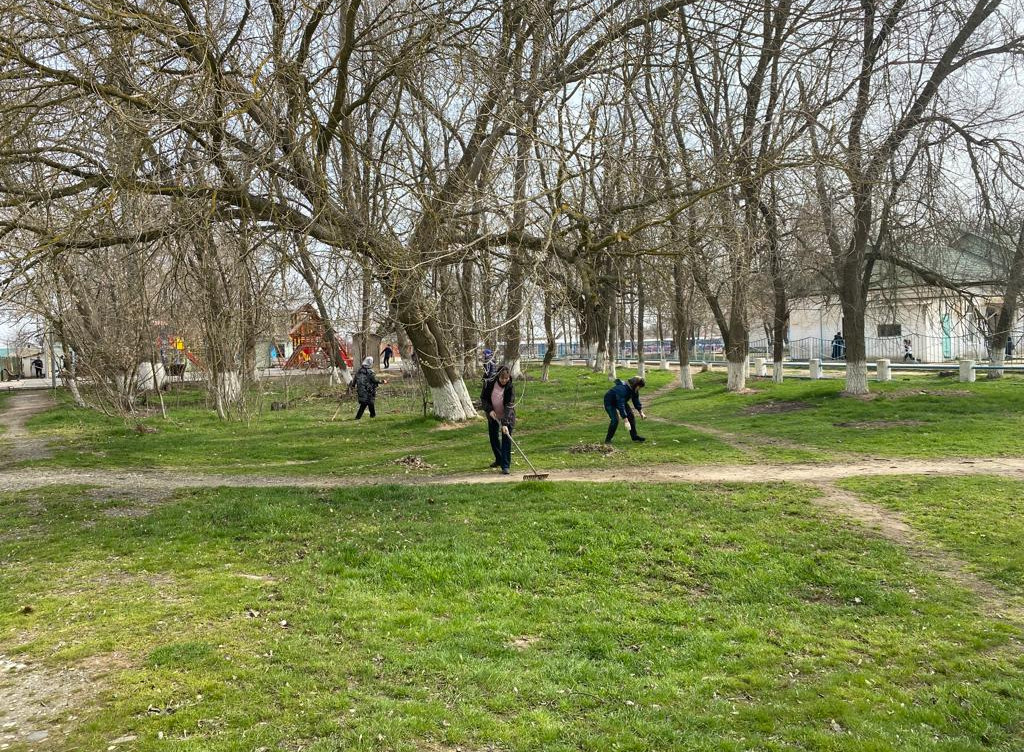 Организация субботника