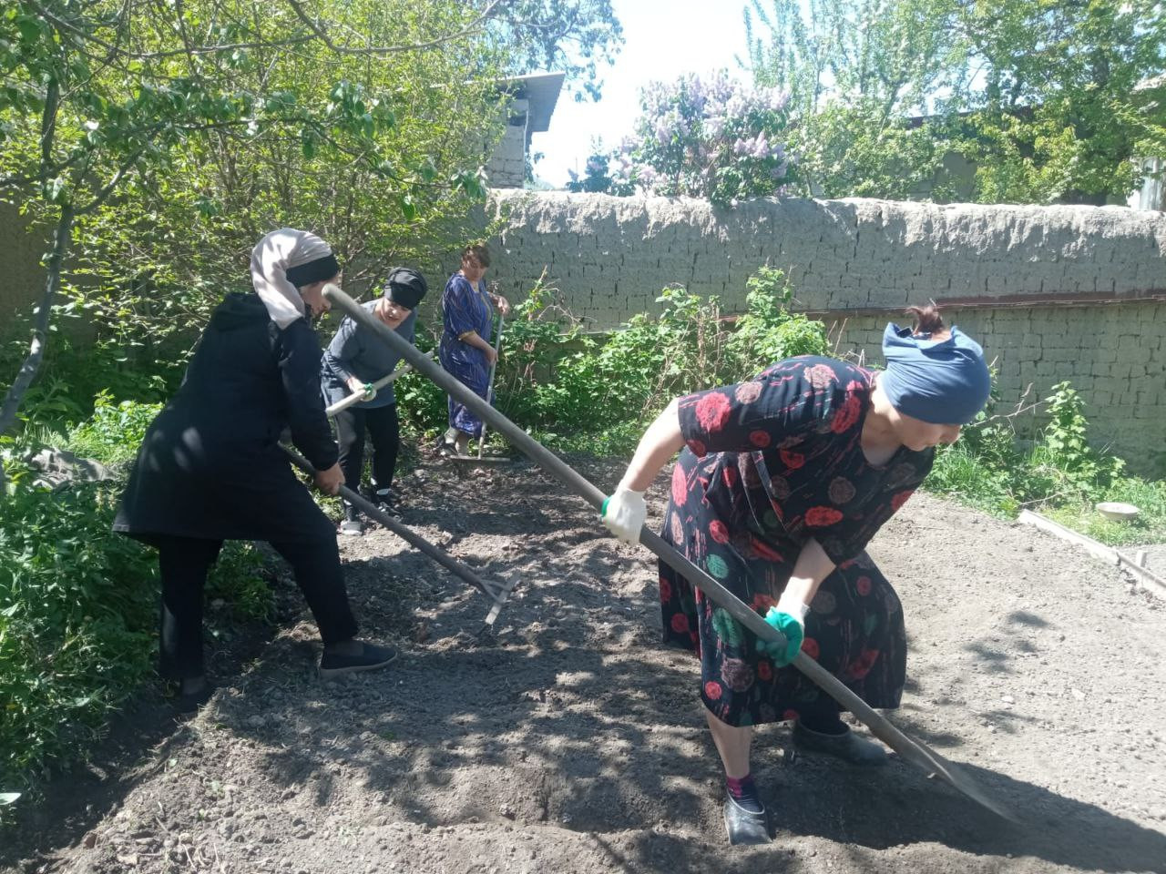 "Социальная неотложка"