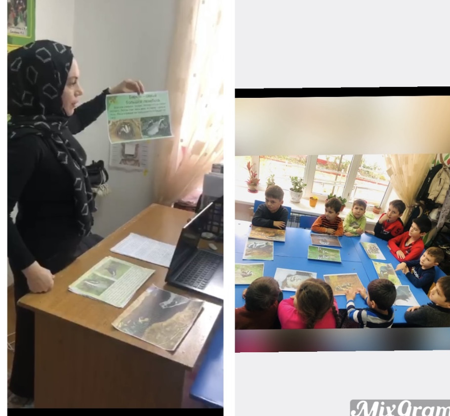 Кружок Nat Geo Wild