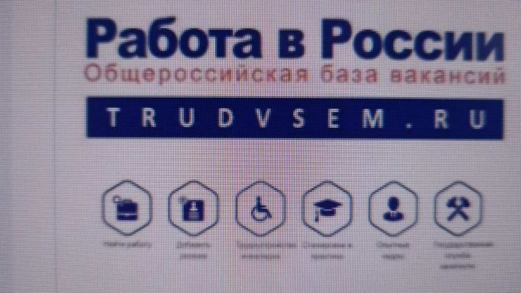 ОЦЕНКА РАБОТЫ ПОРТАЛА "РАБОТА В РОССИИ"
