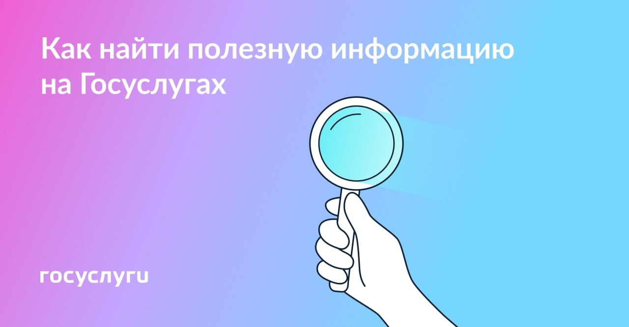 Как найти полезную информацию на Госуслугах