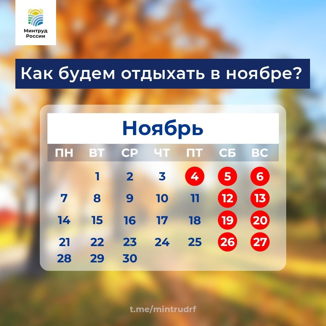Как отдыхаем в ноябре