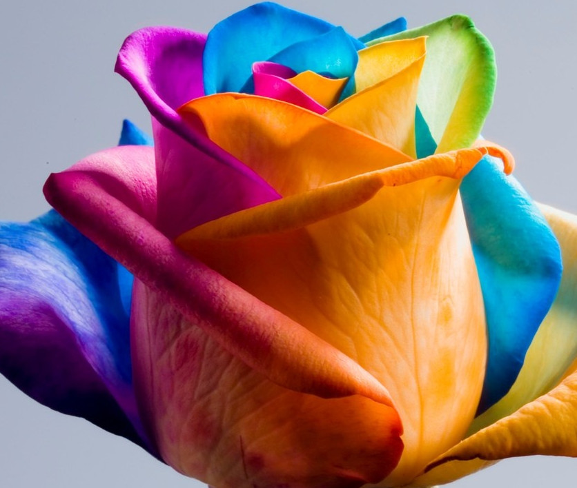 ПАО "КАМАЗ" - ТРУДОУСТРОЙСТВО БЕЗРАБОТНЫХ И НЕЗАНЯТЫХ ГРАЖДАН