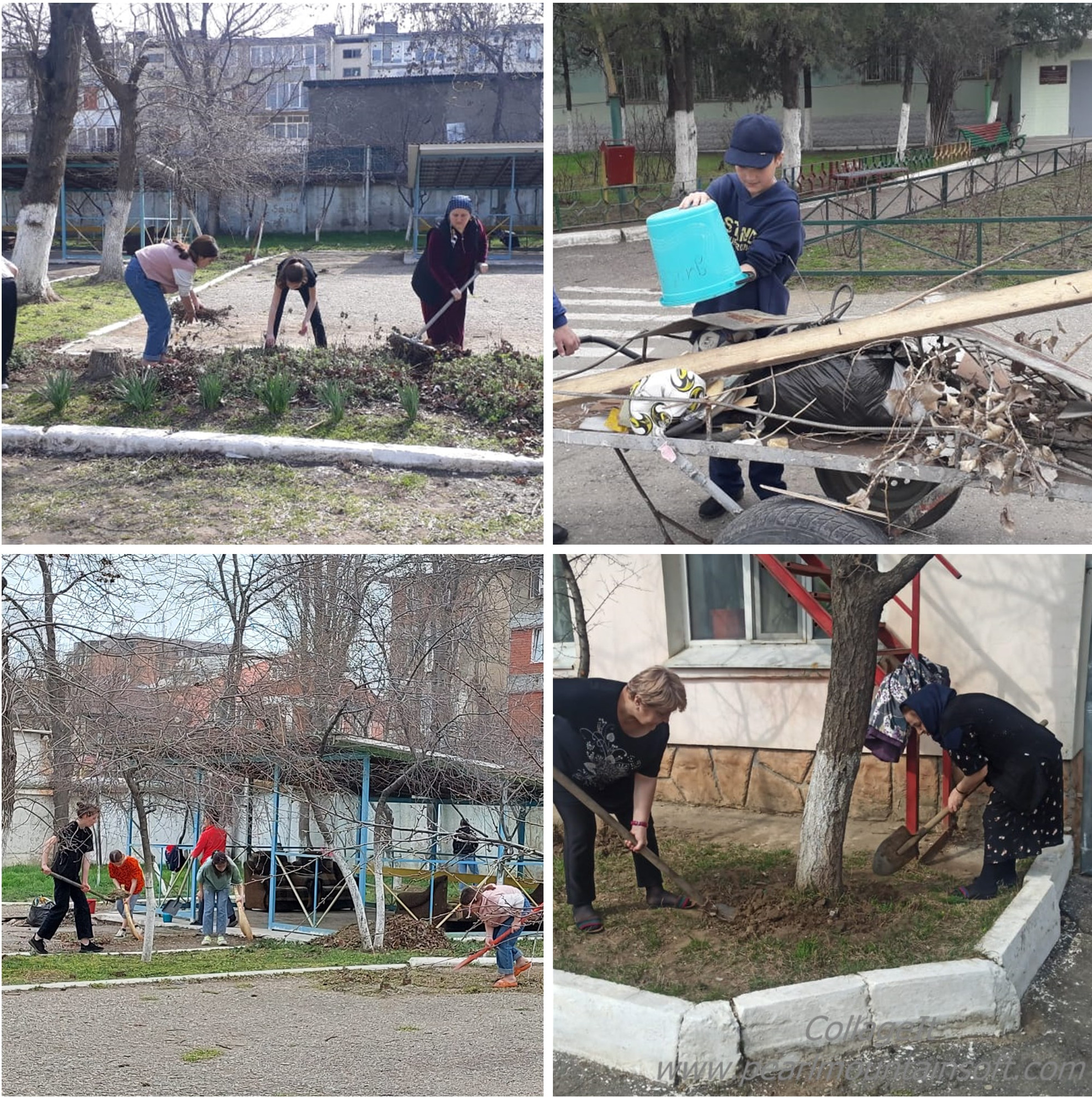Сотрудники ГКУ РД СРЦН (г. Махачкала) приняли участие в общереспубликанском субботнике