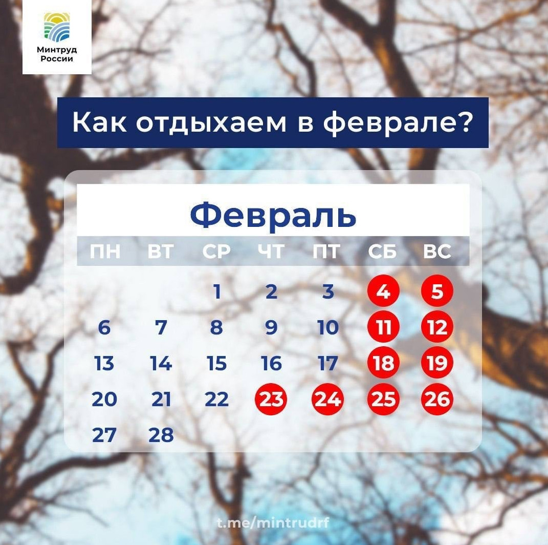 Как отдыхаем в феврале