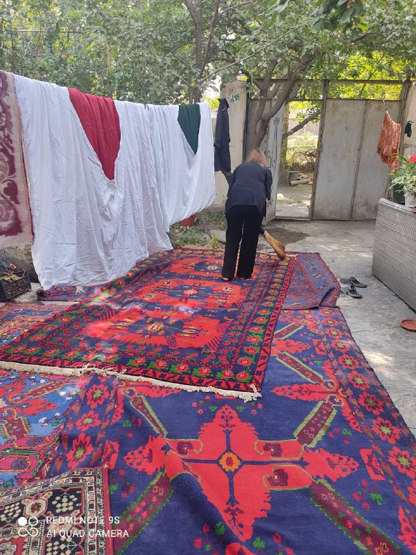 Социальная неотложка