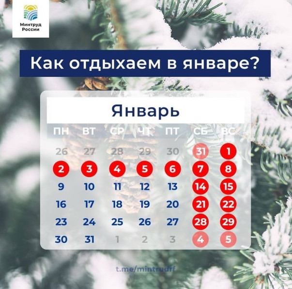 Как отдыхаем в январе?