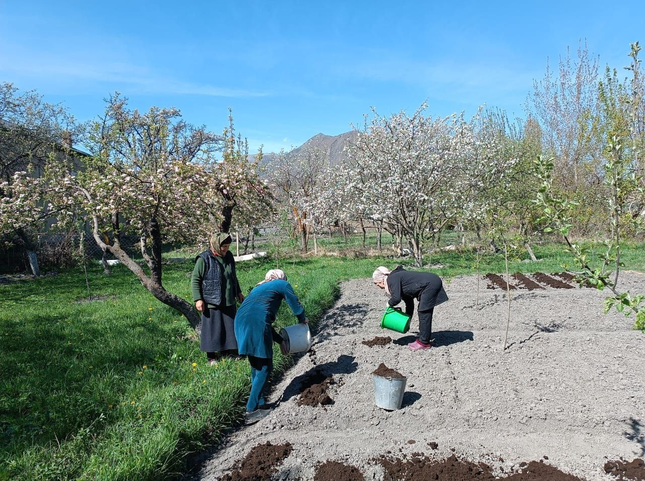 Социальная неотложка