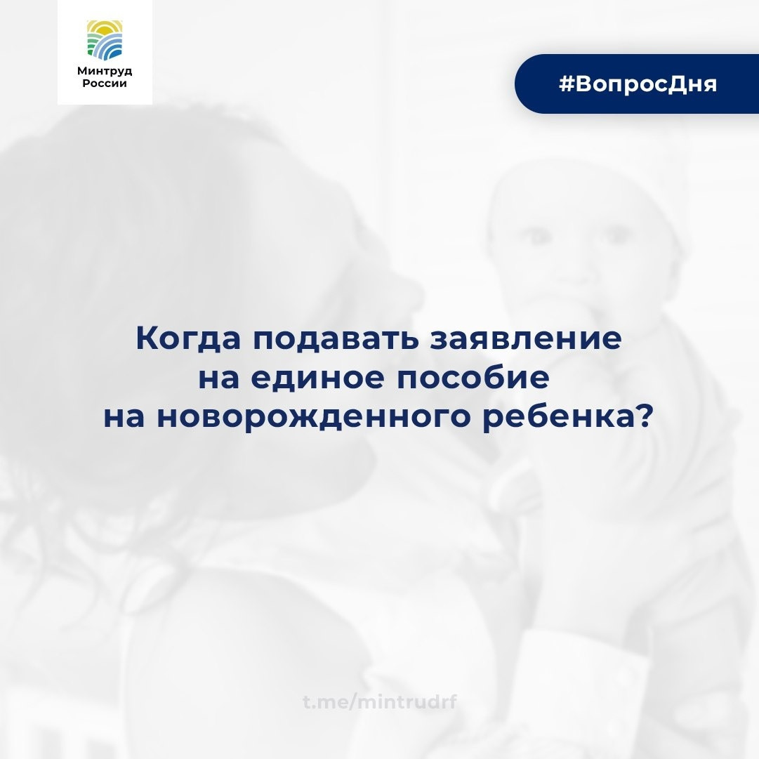 Когда подавать заявление на единое пособие на новорожденного ребенка?