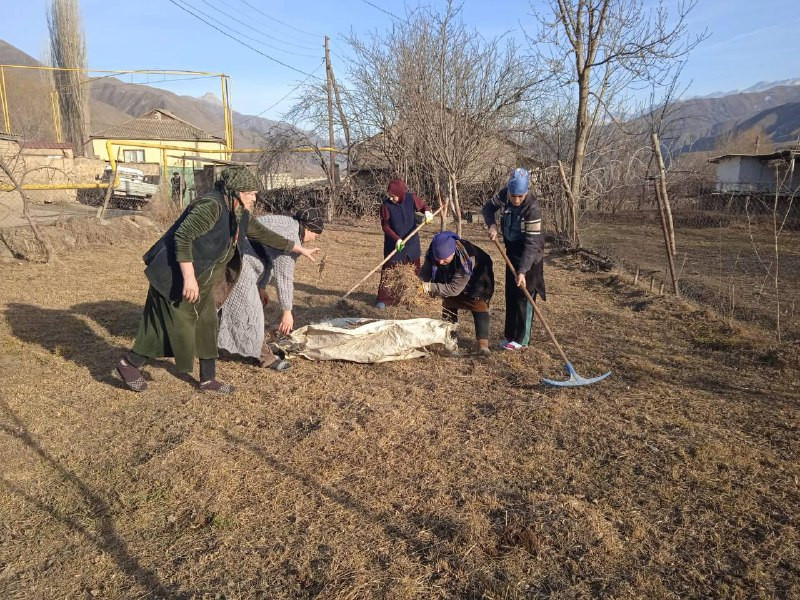 Социальная неотложка