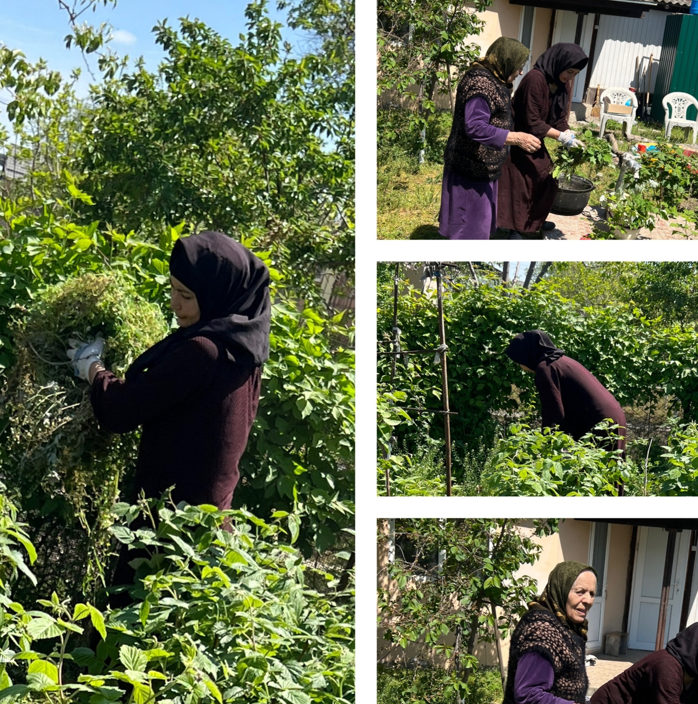 Фото отчёт по предоставленным услугам: