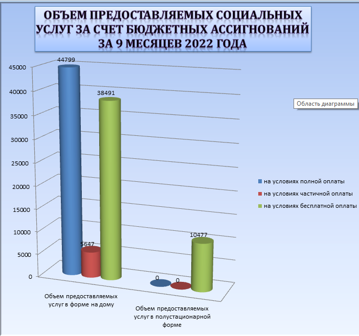 Информация об объеме предоставления социальных услуг за 9 месяцев 2022 г. за счет бюджетных ассигнований