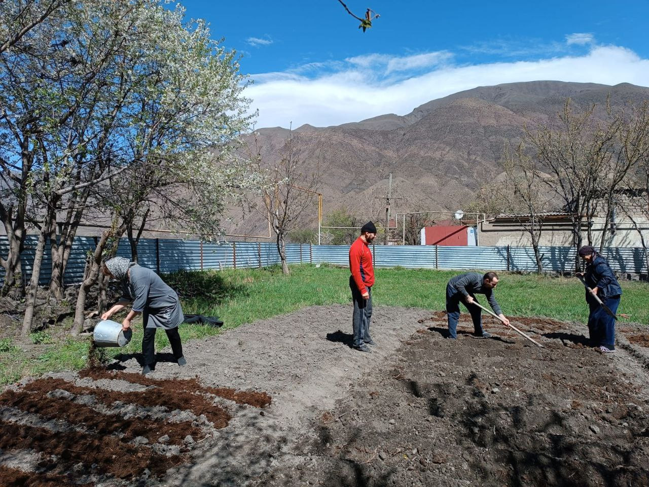 Социальная неотложка.