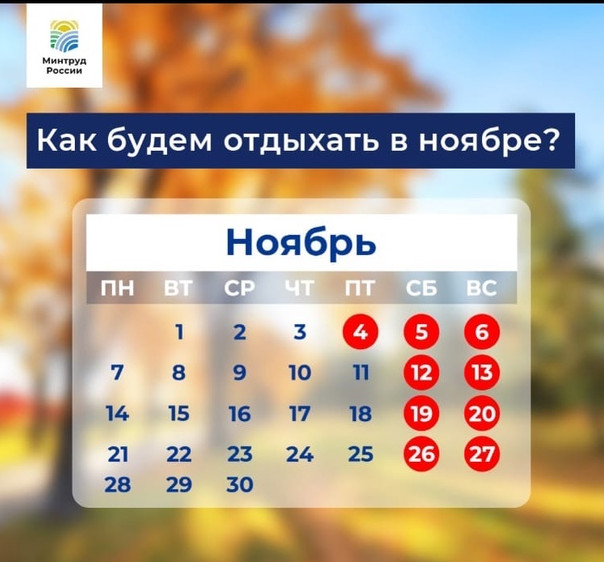 Как отдыхаем в ноябре❓