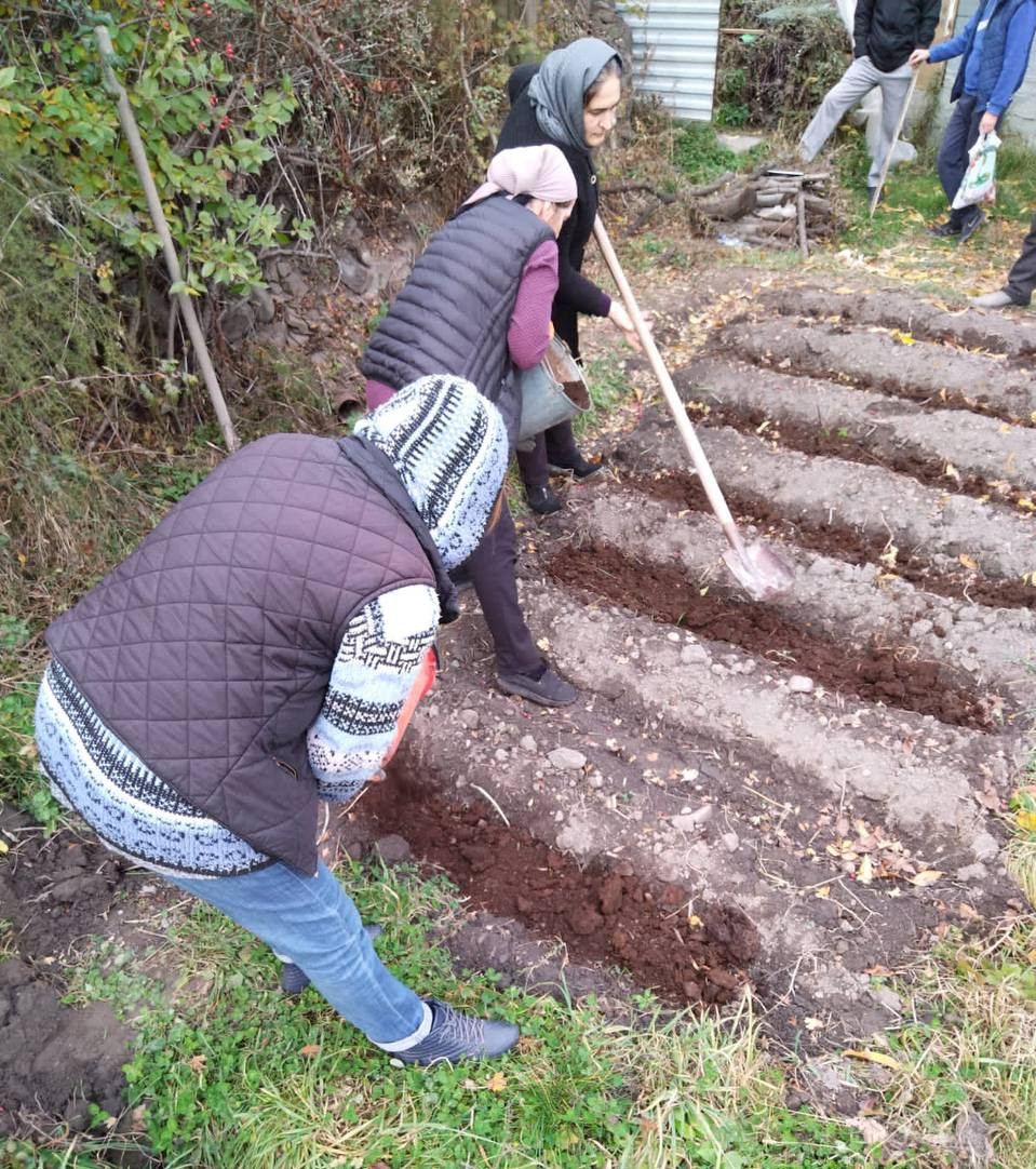 Инновационная технология "Социальная неотложка"