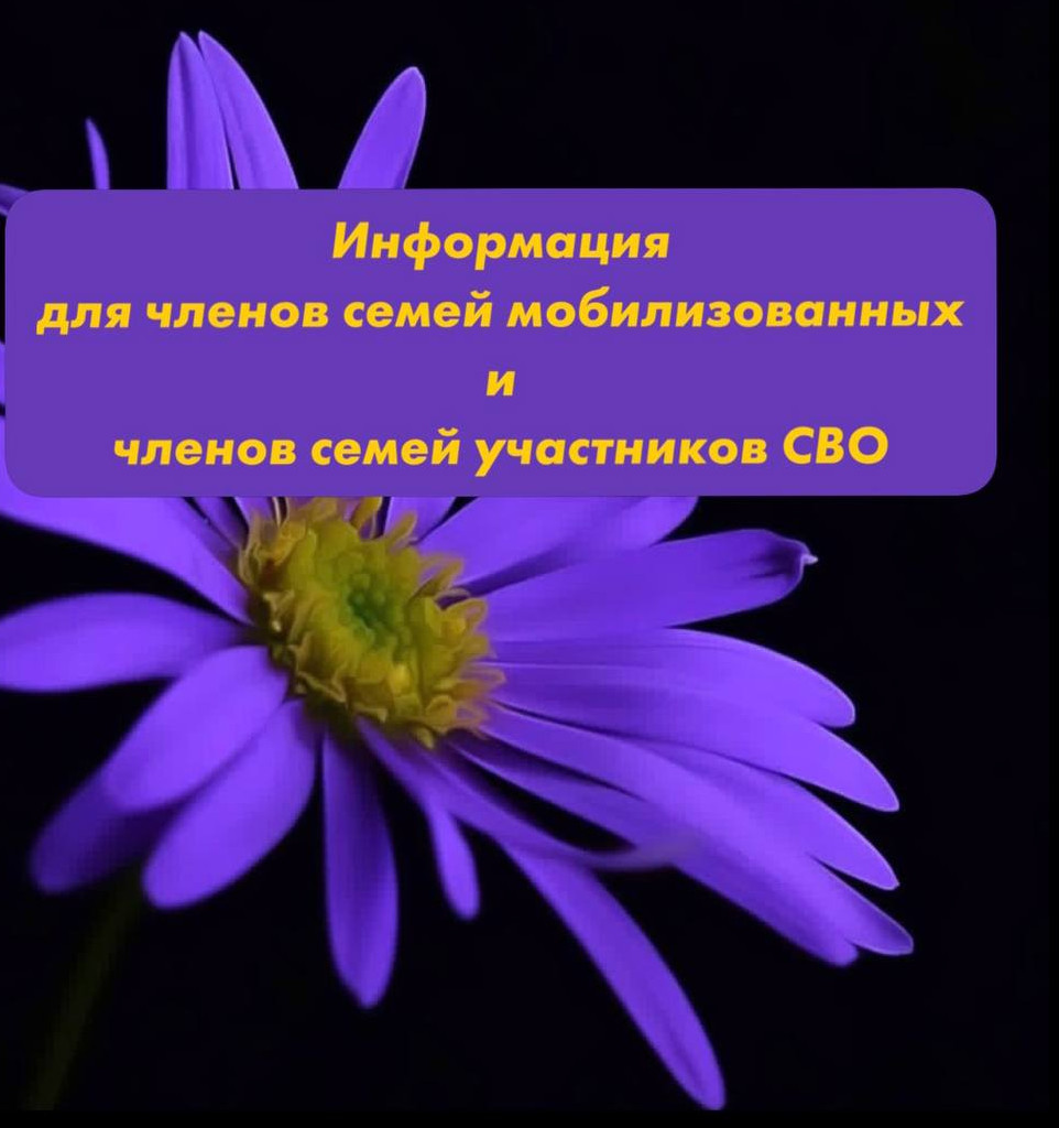 ИНФОРМАЦИЯ ДЛЯ ЧЛЕНОВ СЕМЕЙ МОБИЛИЗОВАННЫХ И ЧЛЕНОВ СЕМЕЙ УЧАСТНИКОВ СВО!