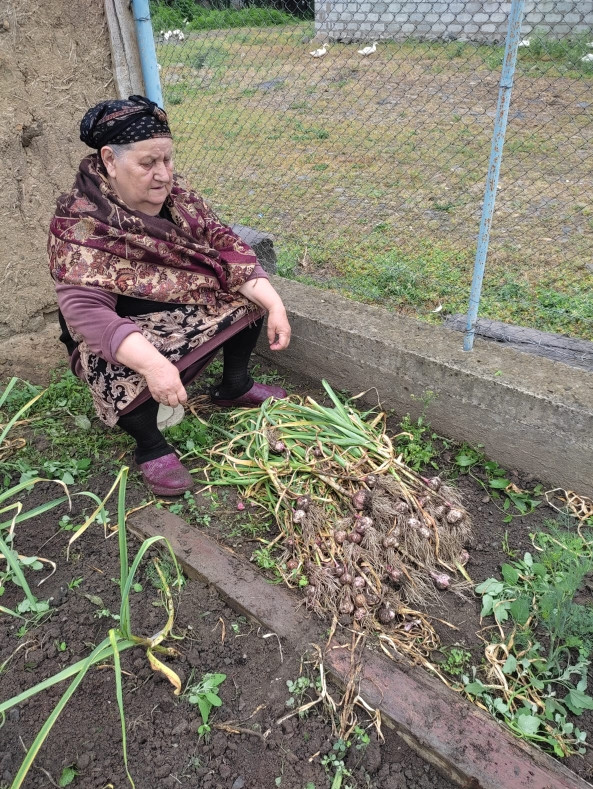 Предоставление бытовых услуг подопечной