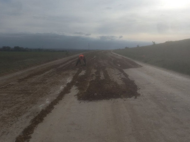 Общественные работы в ООО "Альянс"