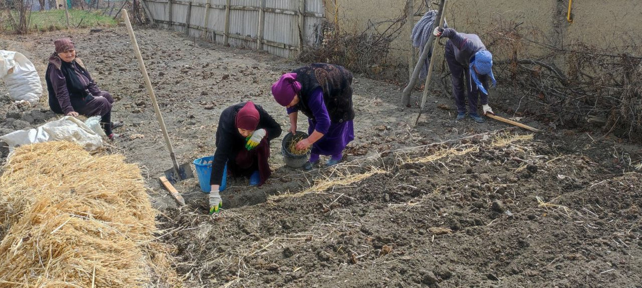 Социальная неотложка.