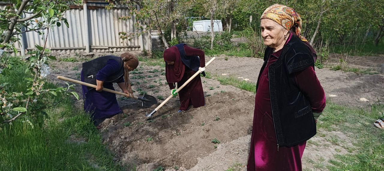 Инновационная технология "Социальная неотложка"