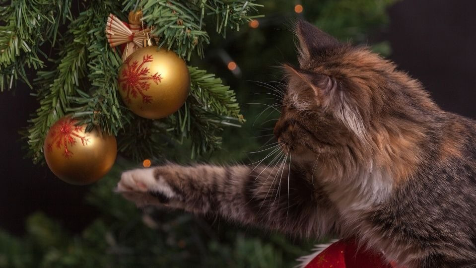 КЦСОН в МО "Ахтынский район" присоединился к Всероссийской акции «Новый год в каждый дом»