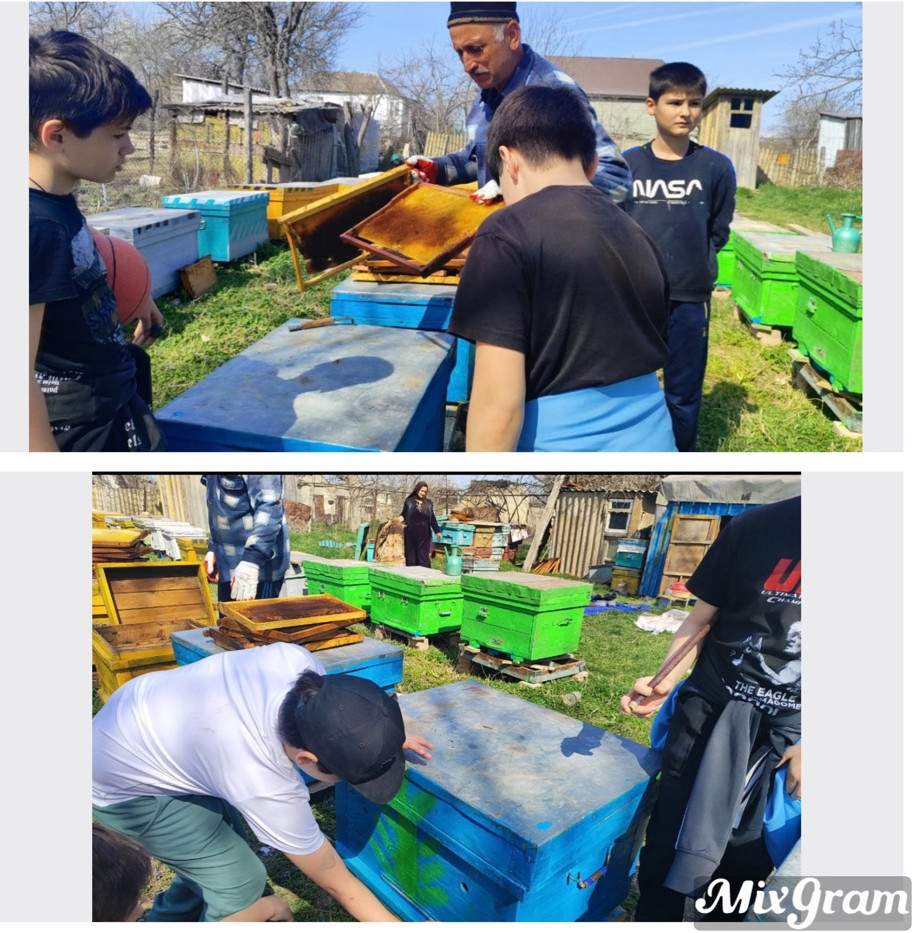 экскурсия на пасеку