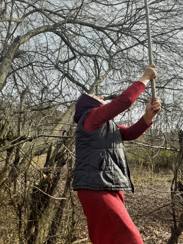 Социальная работница Мирзамова С. навестила свою подопечную Курбалиеву Ф. из с.Хив