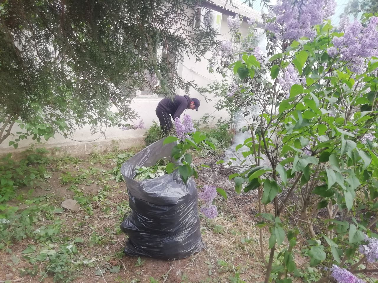 Провели субботник