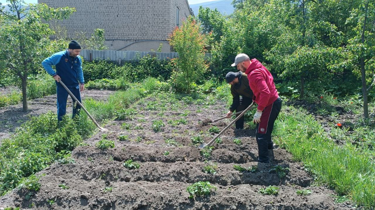 "Социальная неотложка "