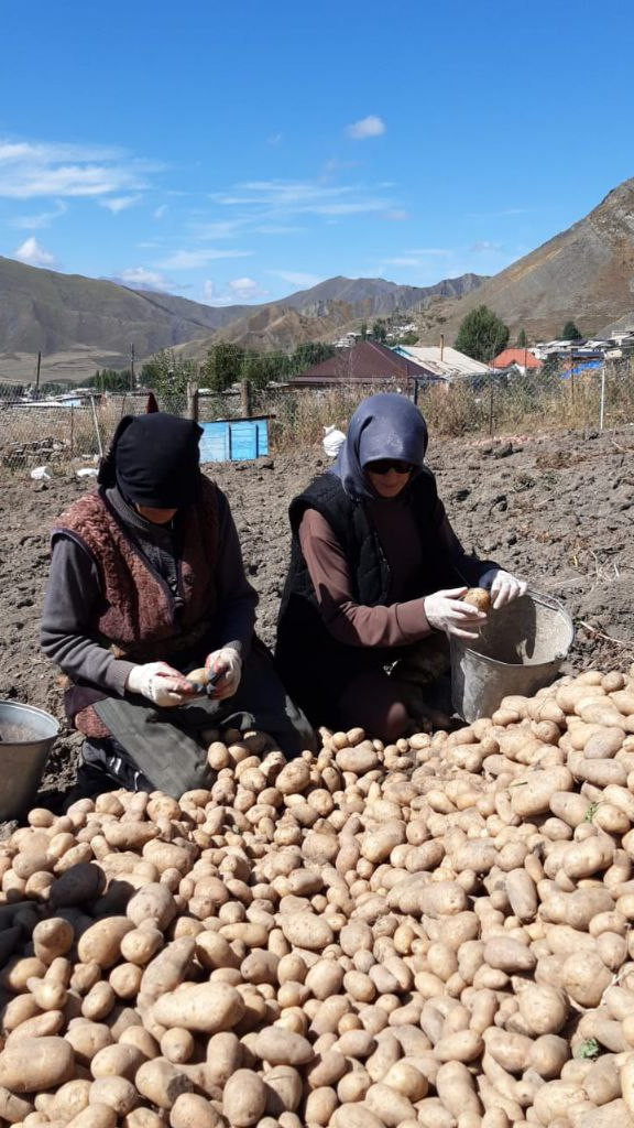 Неделя добрых дел