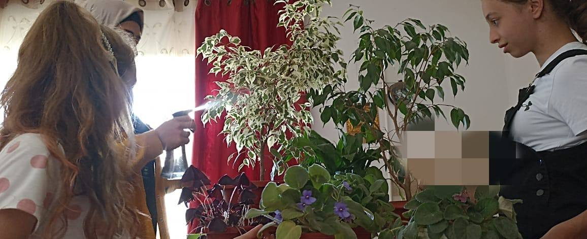 Любовь к природе