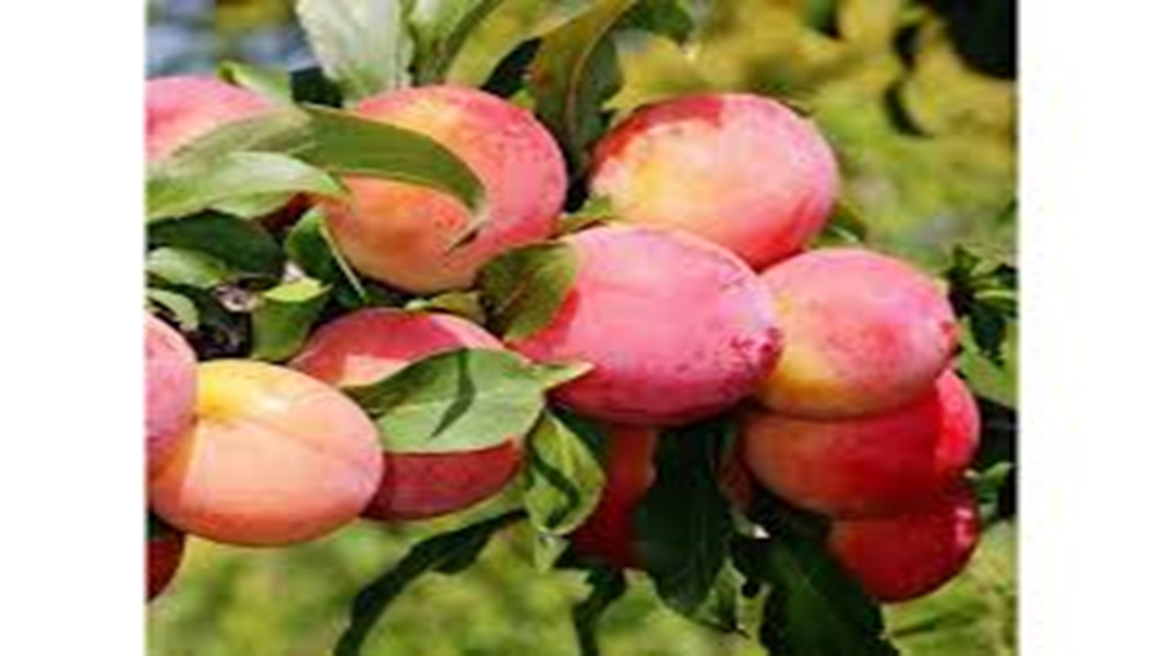 Вакансия ООО «АСТРА-ТЭК»