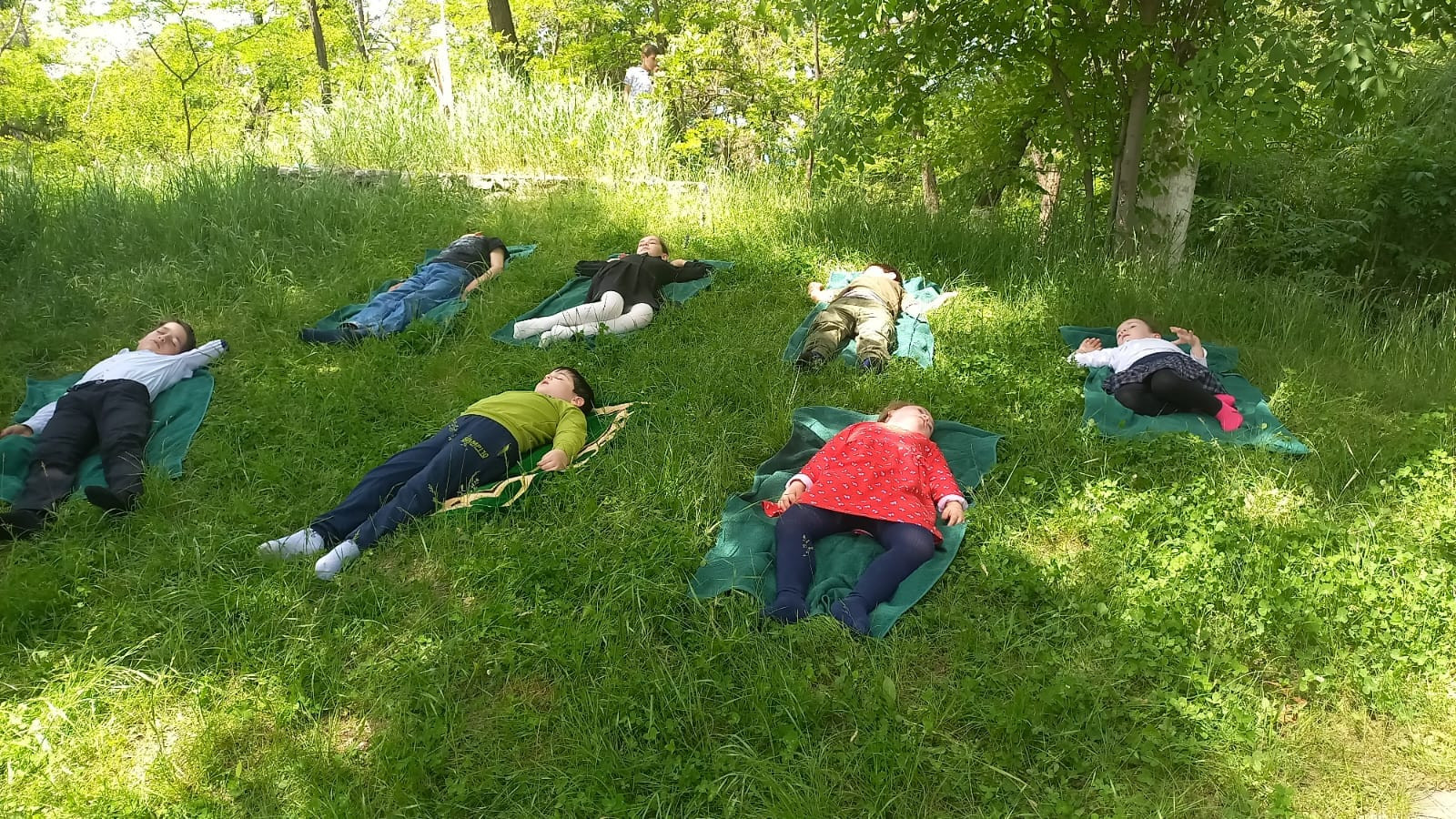 Звуки природы