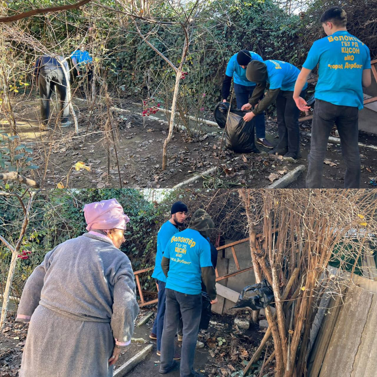 24 января студентами волонтерского корпуса «Молодая гвардия "совместно с работниками ГБУ РД КЦСОН в МО "г.Дербент" ,оказали помощь труженику тыла ВОВ Вишневской Лидии Варовне.