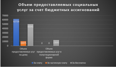 Объем предоставляемых социальных услуг за счет бюджетных ассигнований за 2021г.