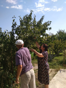 СОЦИАЛЬНО-БЫТОВЫЕ УСЛУГИ ДЛЯ СВОИХ ПОДОПЕЧНЫХ