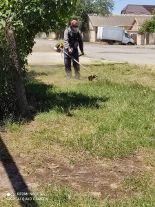 Содействие в организации покоса травы,