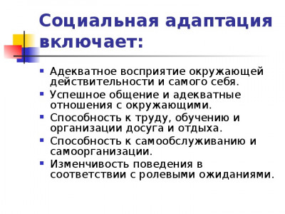 Государственная услуга -социальная адаптация