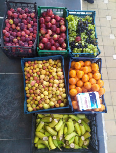 Благотворительная помощь14