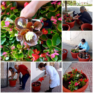 " СУББОТНИК "