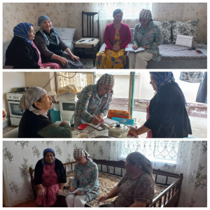 Выездная проверка