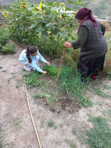 Очередная волонтерская помощь