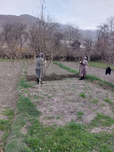 Социальная неотложка30