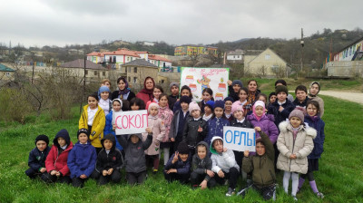 День здоровья