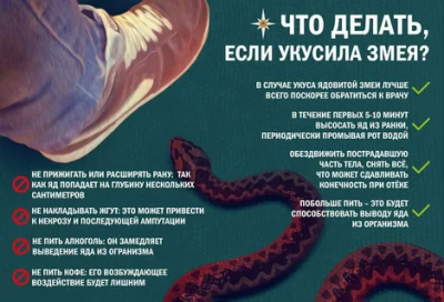 Минздрав Дагестана рекомендует проявлять осторожность при отдыхе на природе