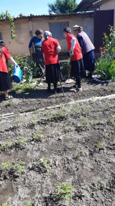 С.Кадыротар. Волонтеры у обслуживаемой ценром Саадулаевой Аминат на приусадебном участке наводят чистоту