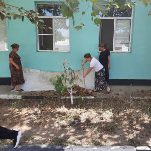 Работники провели субботник на территории Центра.