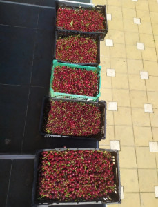 Благотворительная помощь 21