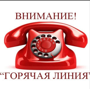 Горячая линия67