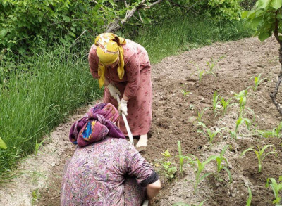 оказание социально- бытовых услуг